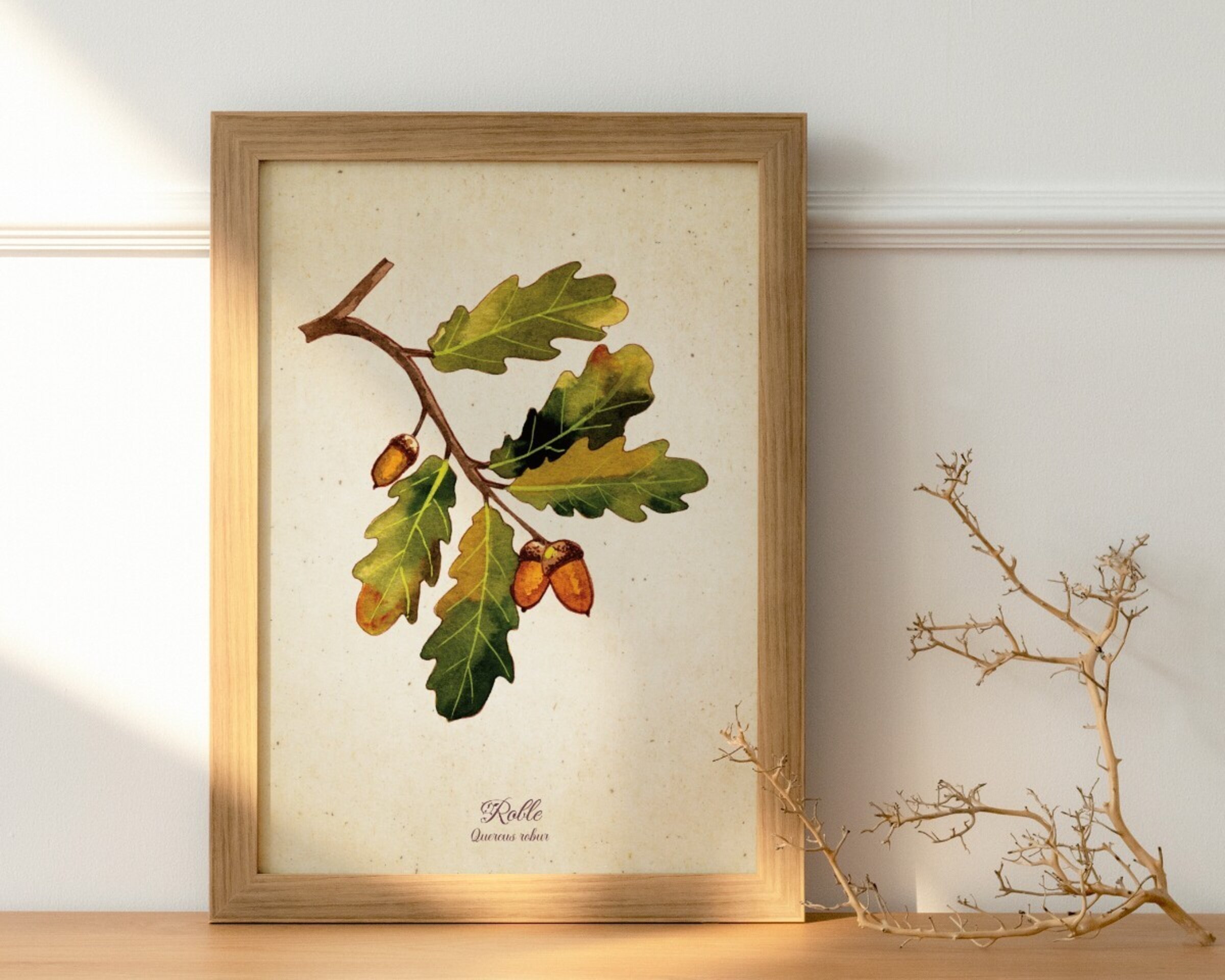 Roble - Print de acuarela de estilo vintage - 2