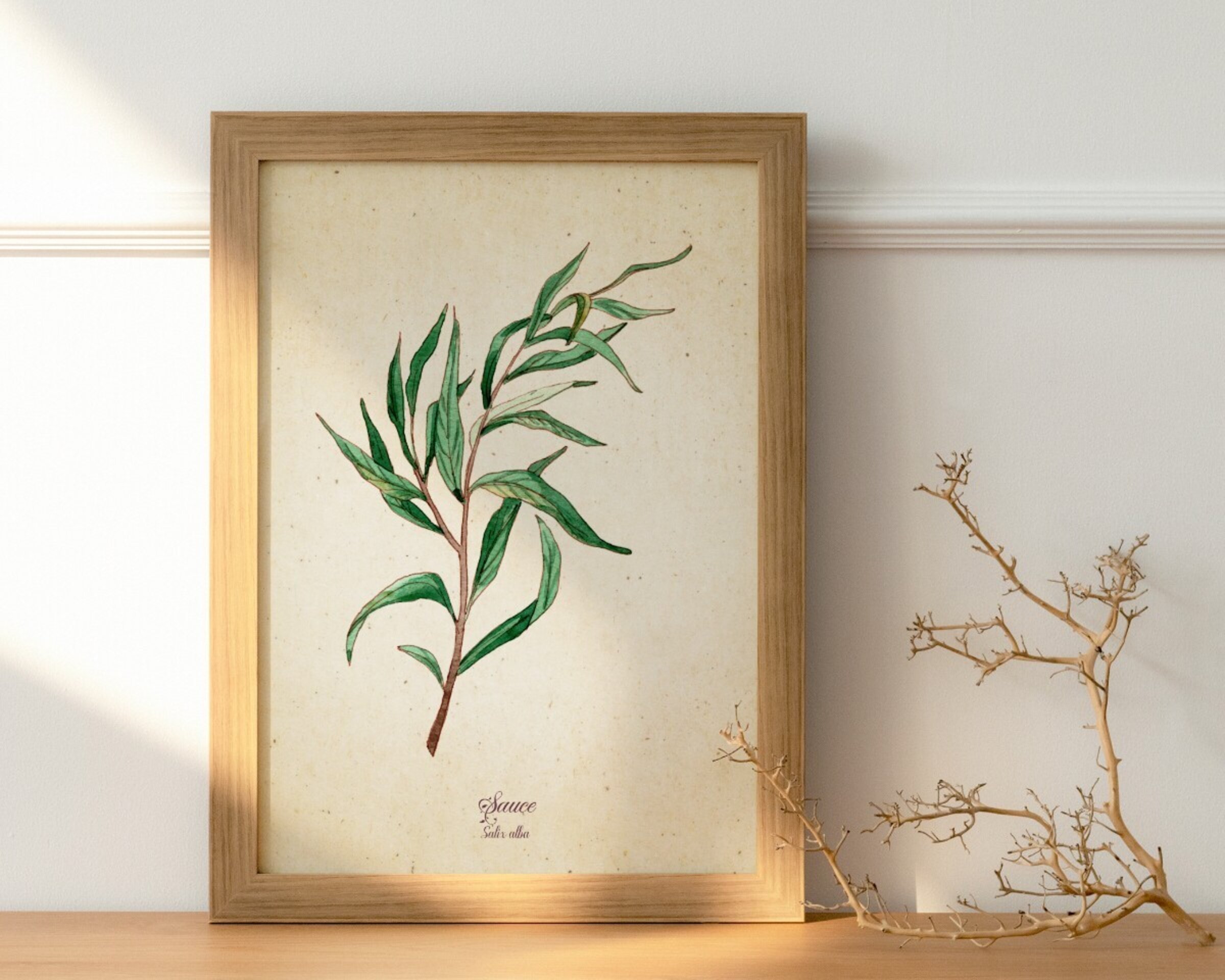 Sauce - Print de acuarela de estilo vintage - 2