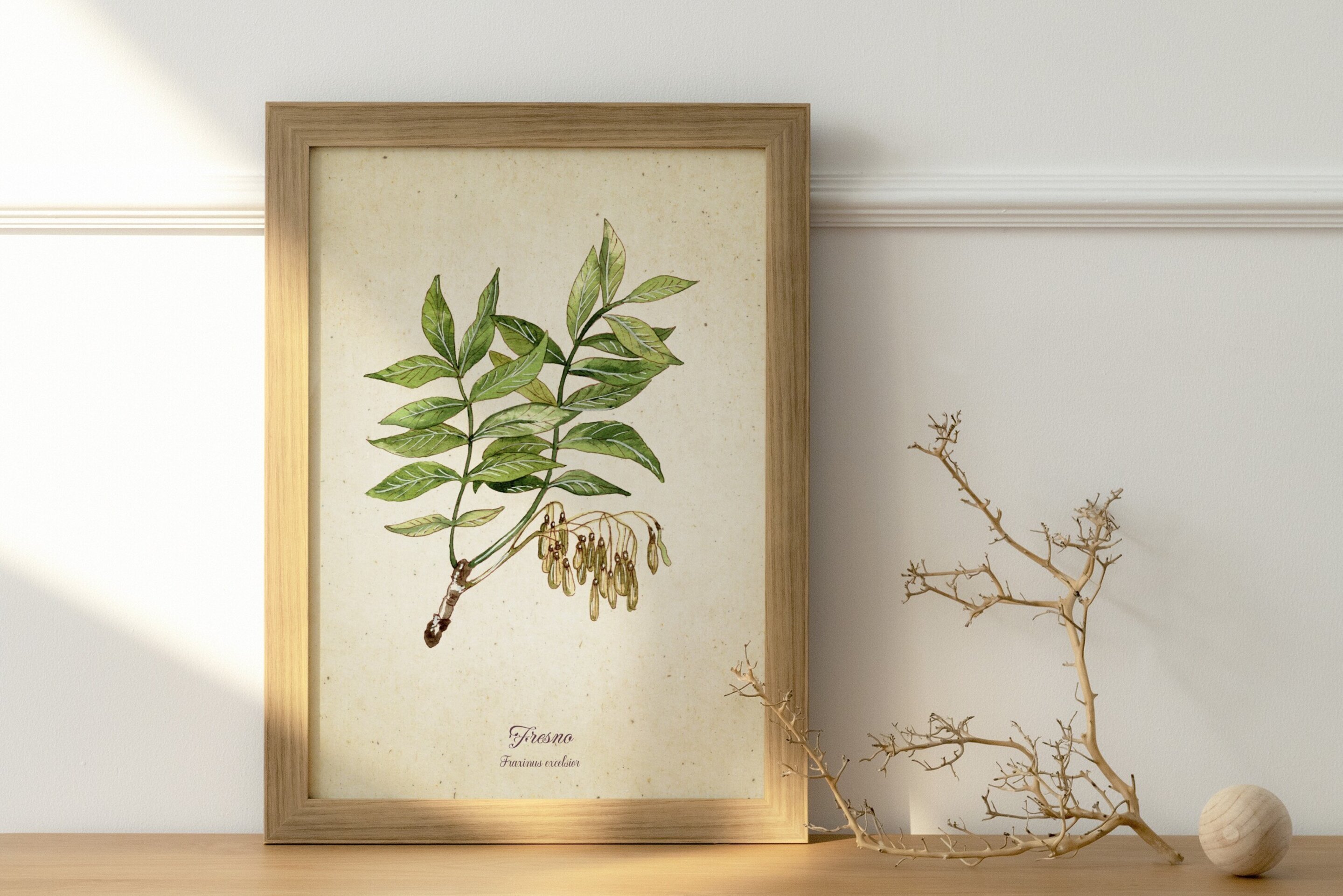 Fresno - Print de acuarela de estilo vintage - 2