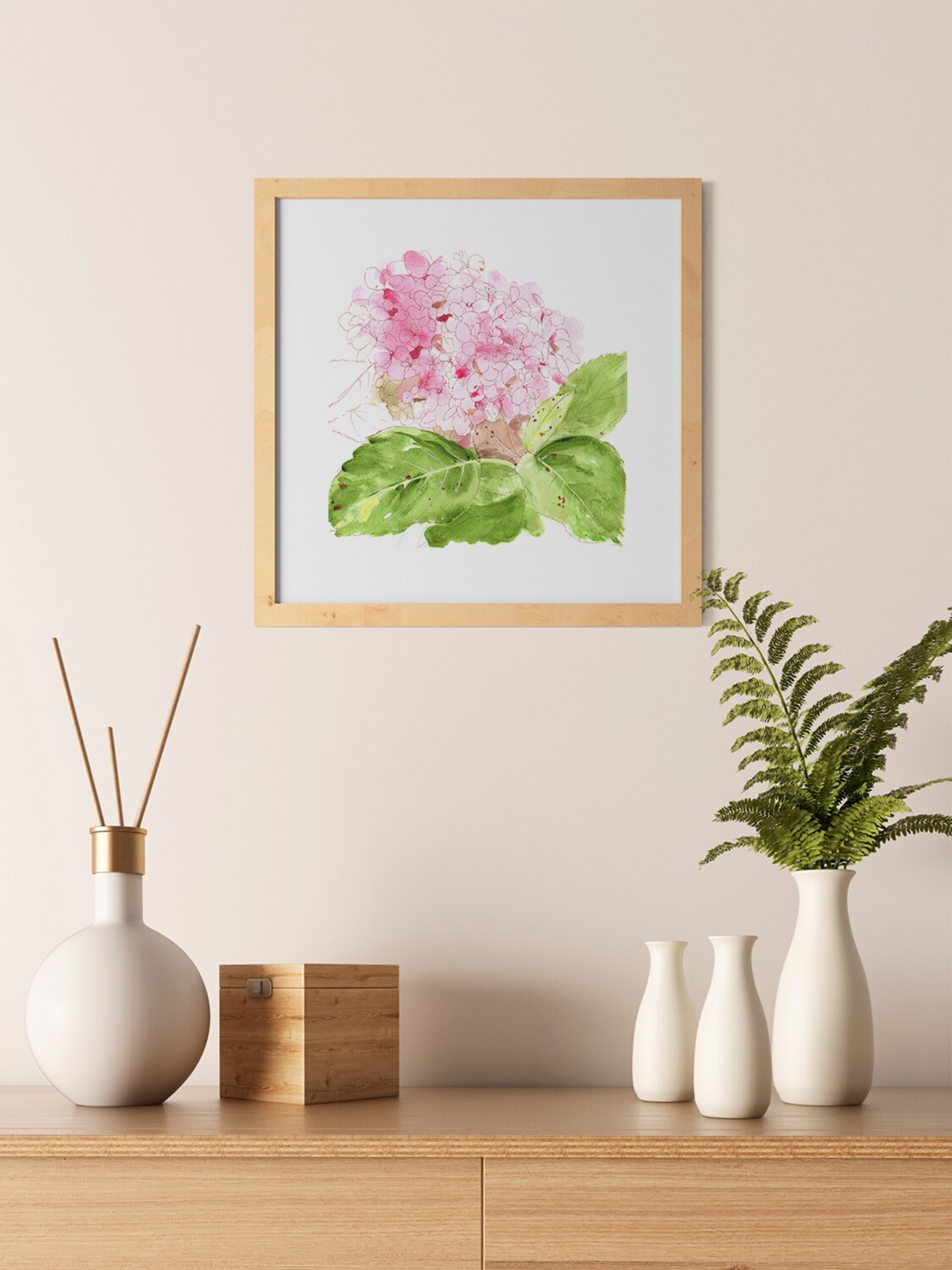Hortensia - 2